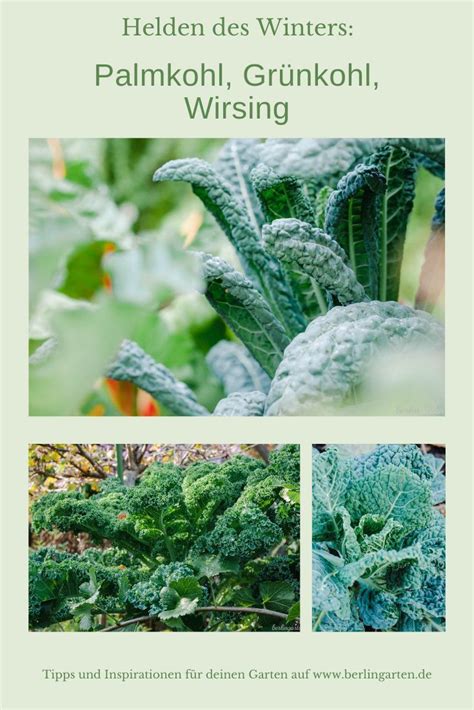 Maybe you would like to learn more about one of these? Wintergemüse: die ganz Harten für den Garten ...
