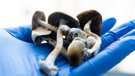 Can Psilocybin Help Smokers Quit