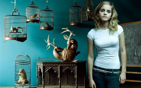 Emma Watson Harry Potter Hd Fondos De Pantalla Harry Potter Im Genes