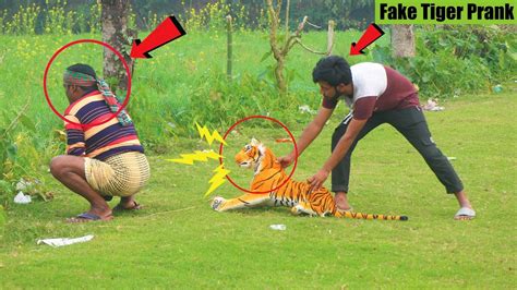 Fake Tiger Prank On Public Fake Tiger Vs Crazy Man Prank Video Part