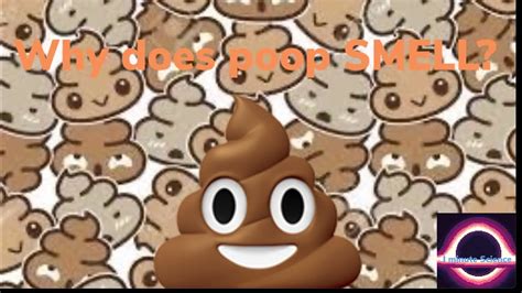 Why Does Poop Smell Youtube