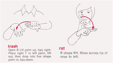 How do you say heart in sign language? Frankie's Apartment: "Rubbish The Rat" in Sign Language