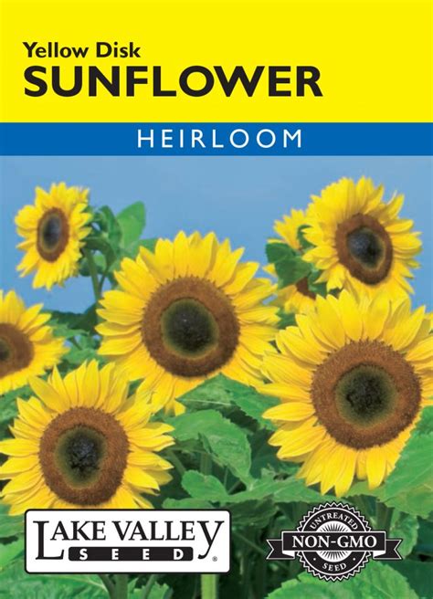 Sunflower Yellow Disk Item 643 Lake Valley Seed