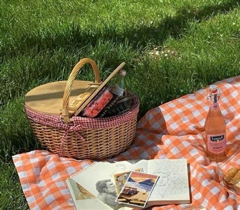 Pin By 𝘀𝗰𝗮𝗿𝗹𝗲𝘁𝘁 On Vibes Picnic Cottagecore Aesthetic Basket