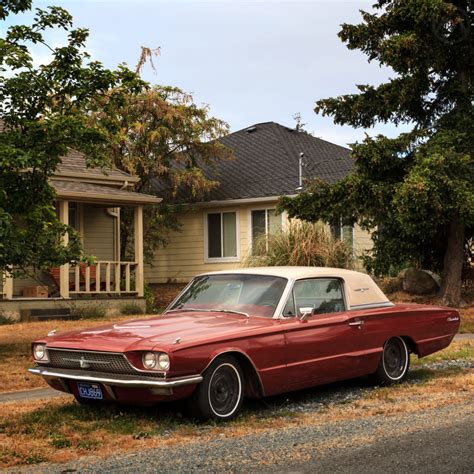 Ford Thunderbird Birch Bark Car Br