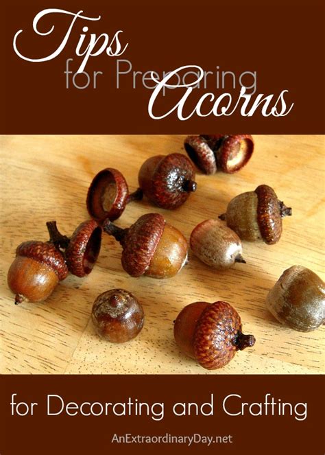 On saturday, 12 dec, 2020 1:00 pm. Tips for Preparing Acorns for Decorating and Crafting | An ...