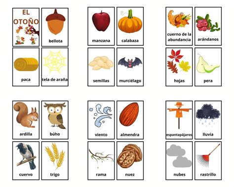 39 Spanish Fall Vocabulary Flashcards Learning Spanish Etsy New Zealand