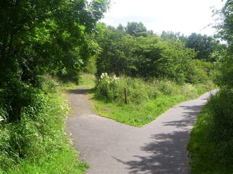 Park Pathways © Ross Watson cc-by-sa/2.0 :: Geograph Britain and Ireland