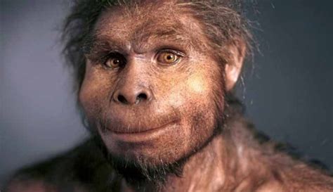 Is Homo Erectus Still Alive Time For Disclosure We Have Never Been
