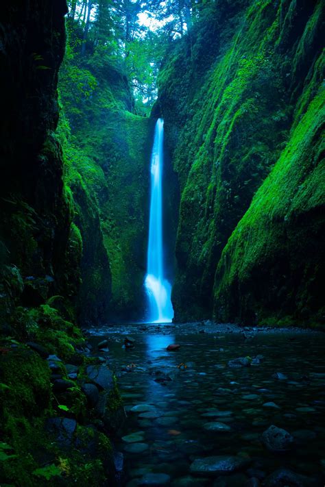 Oneonta Gorge Oregon Travel Planet Places To Travel Travel Dreams