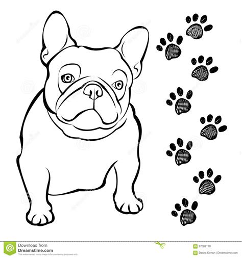 14+ Franse Bulldog Tekening