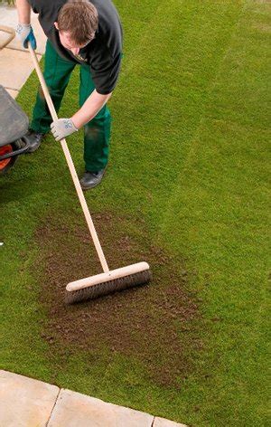 Here are some basic garden layout tips and techniques used by professional garden designers that you can easily apply in your own garden: How To Topdress A Lawn