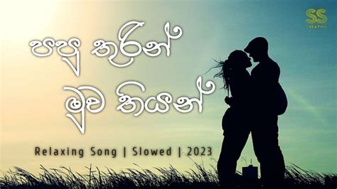 පපුතුරින්මුවතියන් Paputhurinmuwathiyan Slowed Cover Song