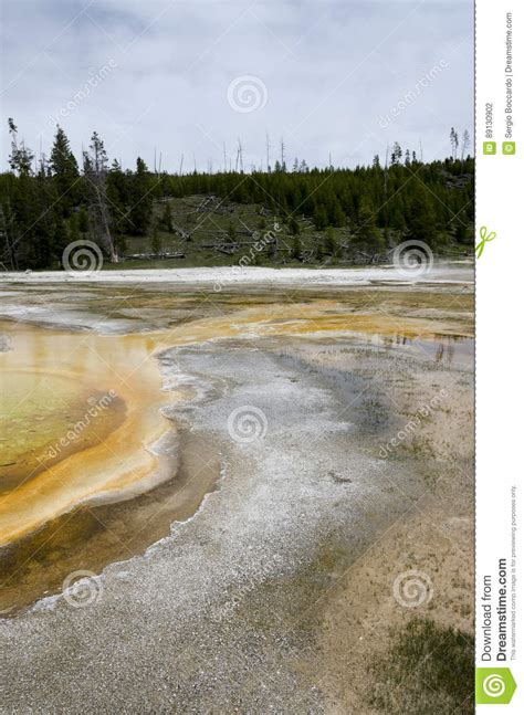 Geyser In Yellowstone Stock Photo Image Of Nature Prairie 89130902