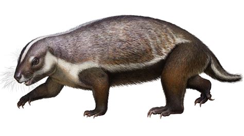 Ancient Crazy Beast From Madagascar Had Mismatched Body And Teeth