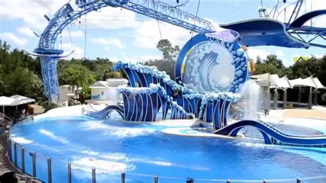 Blue Horizons Dolphin Show 2015 At Seaworld Orlando Florida Youtube