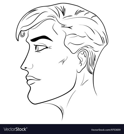 Outline Side Profile Of A Human Male Head Vector Image
