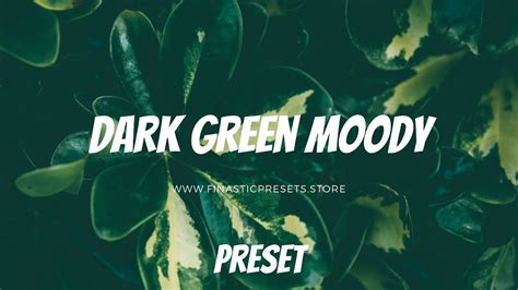 This bundle of presets give you 50 styles to choose from so you'll find the best. Moody Dark Green Presets I Lightroom Mobile Presets DNG ...
