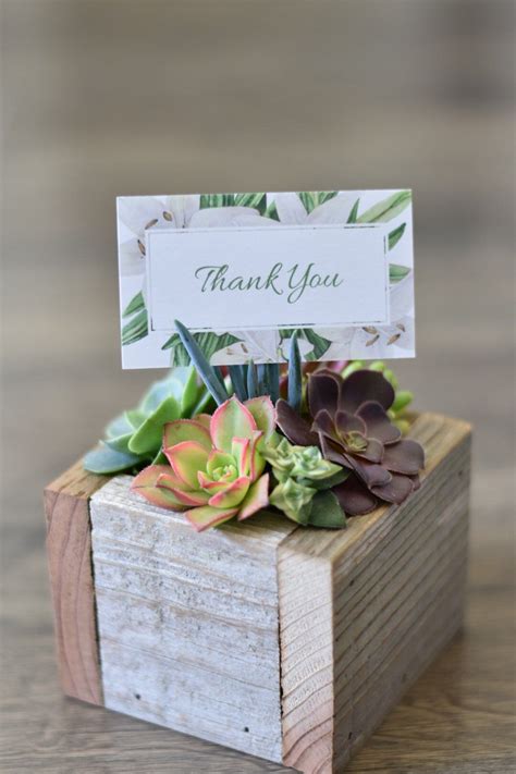 A very rustic yet colorful sympathy gift, this planter box comes filled with twelve lovely succulents. Succulents in wooden box succulent gift box succulent ...