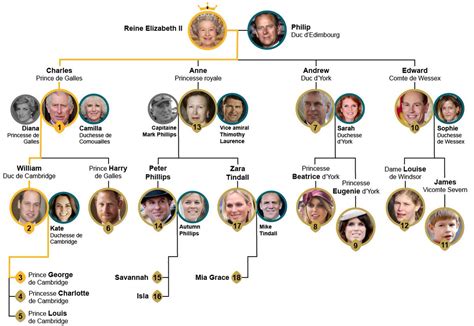 Mais je leur explique bien que la reine elisabeth ii a 3 autres enfants (anne, andrew et edward) et que leur arbre généalogique est bien plus imposant. BFMTV on Twitter: "INFOGRAPHIE - Comprendre l'ordre de ...