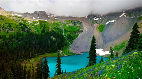 Download Forest Flower Mountain Landscape Turquoise Nature Lake Hd