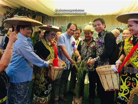 Here you will find one or more explanations in english for the word gawai. Use Gawai Dayak to enhance unity, Kenyah community told ...
