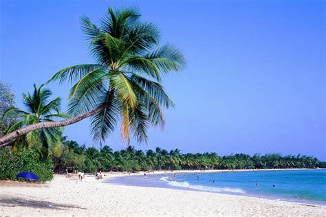 Manage and improve your online marketing. La plage des Salines - Martinica