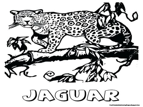 Jacksonville Jaguars Coloring Pages At Getdrawings Free Download