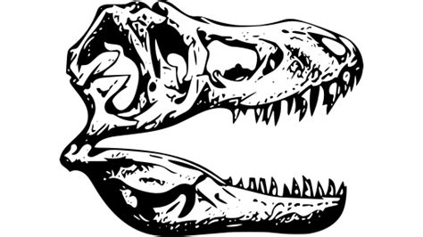Svg Fossil T Rex Tyrannosaurus Free Svg Image And Icon Svg Silh