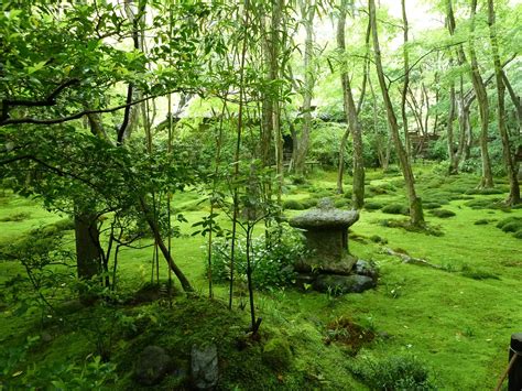 Moss Garden Japan Moss Garden Spiritual Garden Japanese Garden