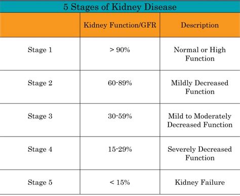 Understanding Kidney Disease Nephcure Kidney International