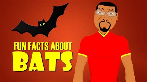 Fun Facts About Bats For Kids Learn About Bats With This