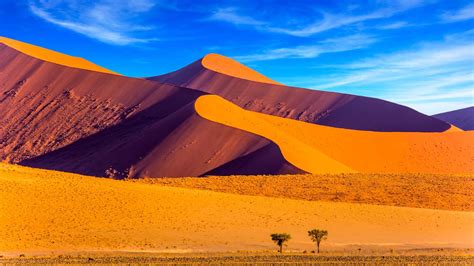 The Best Namibia Tours And Things To Do In 2022 Free Cancellation
