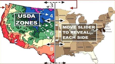 Find Your Usda Hardiness Zone W Zip Code Organical Botanicals