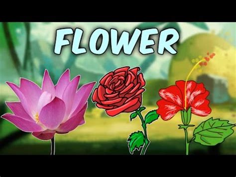 He told that he has to compile a similar list for groceries, vegetables, animals, fishes and so on. Learn English Flower Names With Pictures | Characteristics ...
