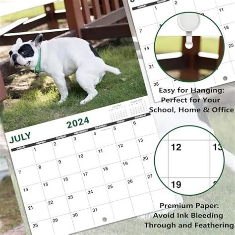 2024 Wall Calendar Dog Pooping Calendar 2024 January 2024 December