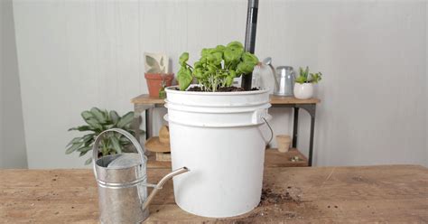 Make This Easy Self Watering Container To Save Your Plants In 2020