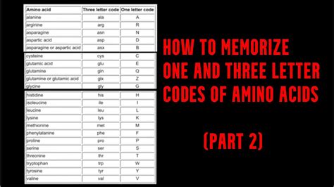 How To Memorize One And Three Letters Codes Of Amino Acids Part Two YouTube
