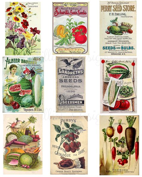 Printable Vintage Seed Packets Instant Download Collage Sheet Etsy