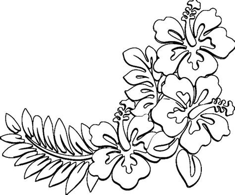 Hawaiian Flower Drawings In Pencil Gallery For Flowers Sketch Coloring Page