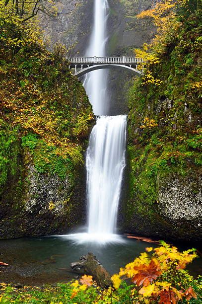 400 Multnomah Falls Autumn Stock Photos Pictures And Royalty Free