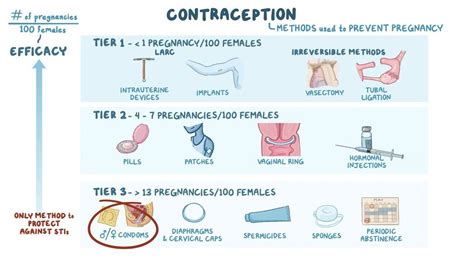 Mover Thermal Damm Combined Oral Contraceptive Pill Mechanism Of Action