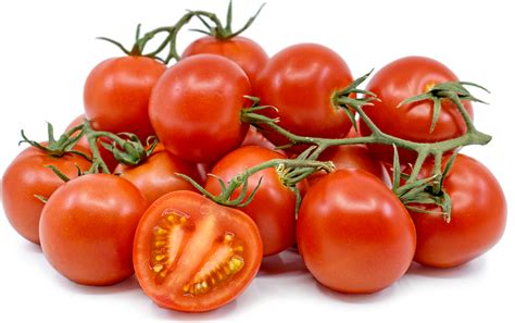 Campari Tomatoes Information Recipes And Facts