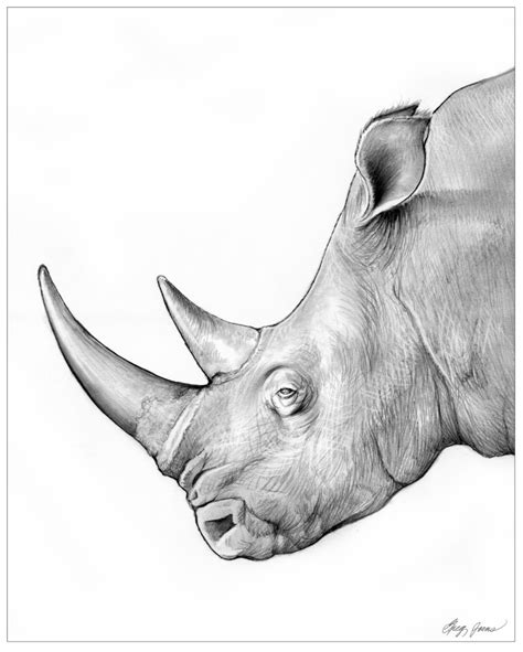 Animal cell sketch pencil sketch animal cell pencil sketch. Rhino by gregchapin.deviantart.com on @deviantART | Pencil ...