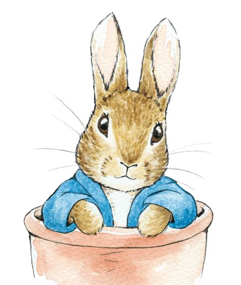Peter Rabbit Tale Of Peter Rabbit Easter Bunny Rabbit Hare ...