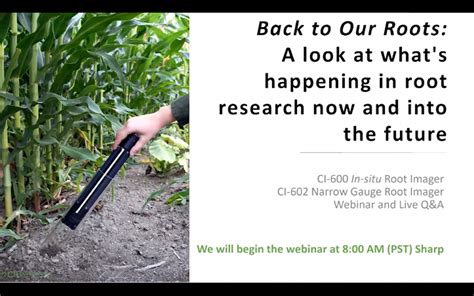Back To Our Roots Root Research Now And Into The Future Full Webinar