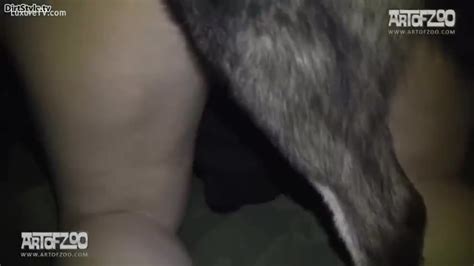 Close Up On Dog Fucking A Cum Hole Xxx Femefun