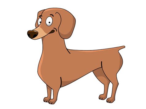 Dachshund Png