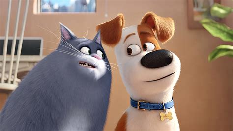 Through The Reels Movie Review The Secret Life Of Pets 2016