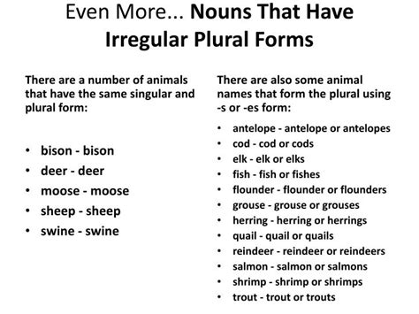 The plural forms are attorneys in fact and attorneys at law. PPT - Plural Nouns PowerPoint Presentation - ID:6384899